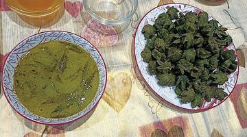 Зелений борщ із коноплями, але без наркотичного “кайфу”. Фото автора й Тетяни ІСКОРОСТЕНСЬКОЇ