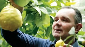 Іван Галіпа з гордістю демонструє вирощений лимон-гігант та невеликий плід кумквату. Скрін із відео.