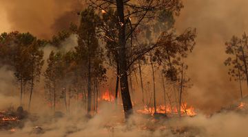 Фото Reuters