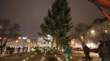 Новорічну ялинку перед Оперним театром відкриють напередодні Миколая - 17 грудня