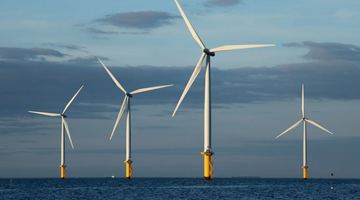 Країни збільшать інвестиції в глобальну вітрову енергетику