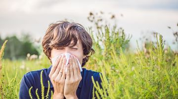 Багато людей потерпають від алергії усе літо... Фото Oklahoma Otolaryngology Associates.