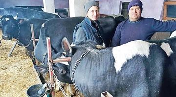 Андрій та Ніна Войтовичі уже п’ять років утримують молочну ферму. Фото з приватного архіву Войтовичів