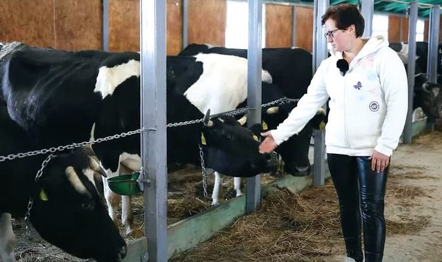 Сім'я Никончуків відкрила другу молочну ферму
