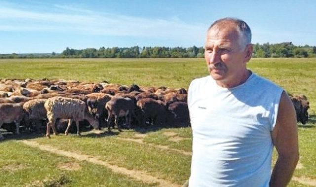 Донецькі вівці переїхали на Волинь
