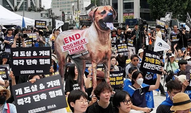 У Південній Кореї заборонили торгівлю собачатиною