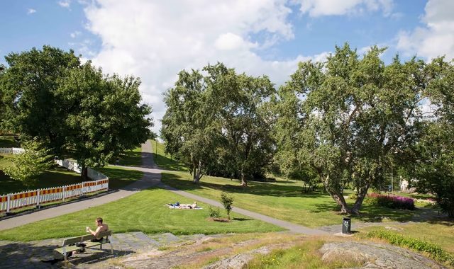 У Гельсінкі хочуть перейменувати парк… леніна