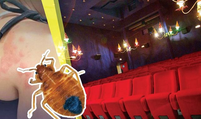 У французьких кінотеатрах завелися блощиці