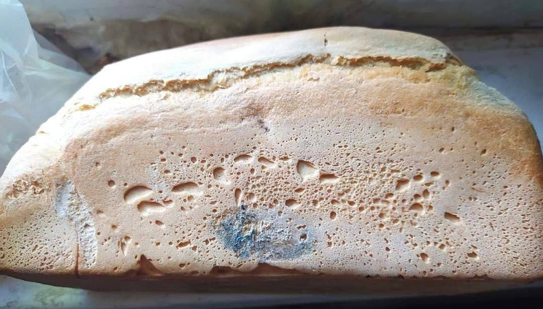 Хліб із пліснявою: росіяни передали гуманітарку у Маріуполь