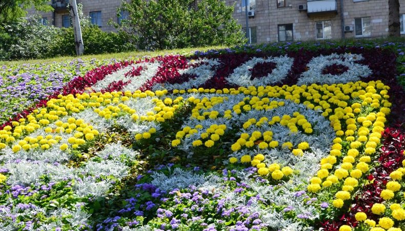 У столиці з'явилось квіткове панно на честь"Азову"
