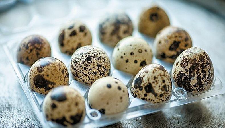 Перепелині яйця