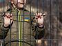 Російські окупанти вкрали з херсонського дитбудинку 46 дітей — NYT