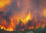 Поблизу Лос-Анджелеса вирує лісова пожежа