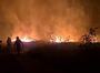 Через російські обстріли біля Лиману горіло понад 400 га лісу: пожежу загасили