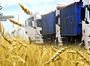 Українське зерно з портів окупованого Криму вивозять до Сирії та Ірану, — Центр нацспротиву