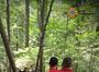 На Львівщині гірські рятувальники відшукали жінок, які заблукали в лісі