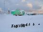 До станції «Академік Вернадський» раптово завітали десятки пінгвінів (ФОТО)