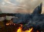 За минулу добу рятувальники Львівщини виїхали на 9 пожеж сухостою